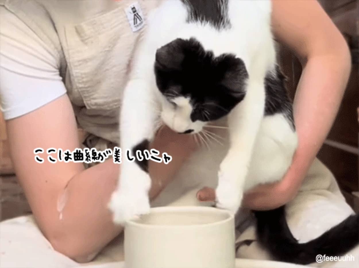 猫の陶芸家が誕生