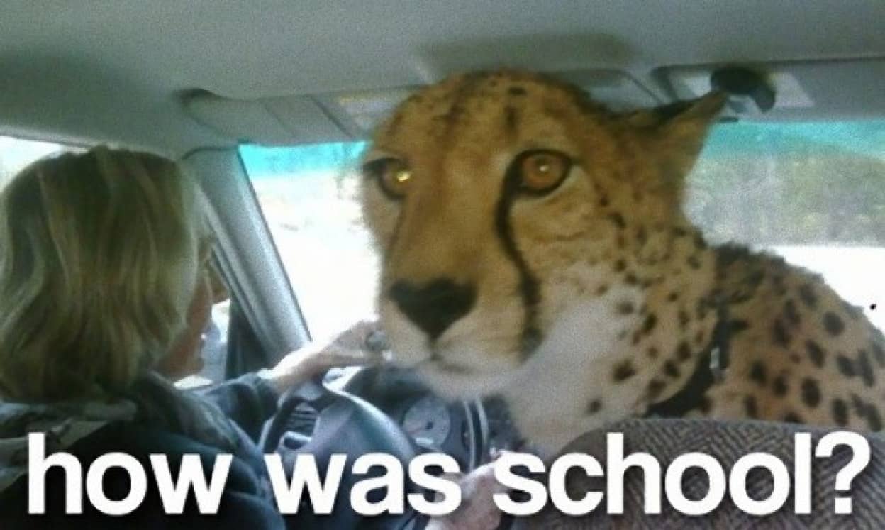 多感な思春期の10代子どもたちに学校生活について聞く28の会話術 カラパイア