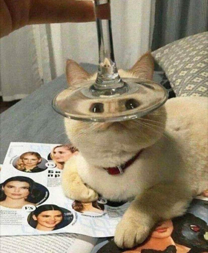14_e