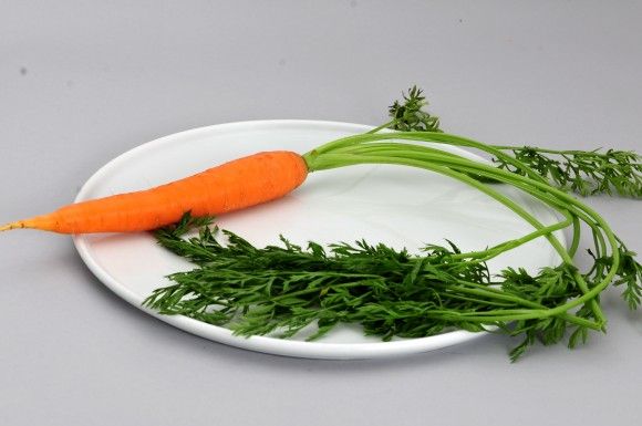 12carrot_e