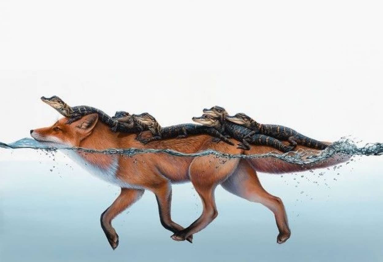 みんなともだち アニマルフレンズ 動物 植物 静物を融合させたスーパーリアリズム絵画 カラパイア みんなともだち アニマルフレンズ 動物 植物 静物を融合させたスーパーリアリズム絵画 カラパイア