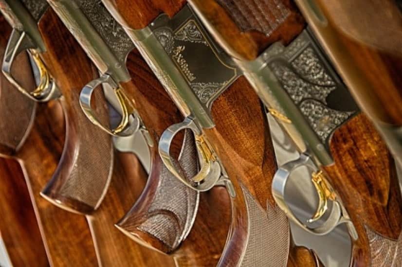 gun4