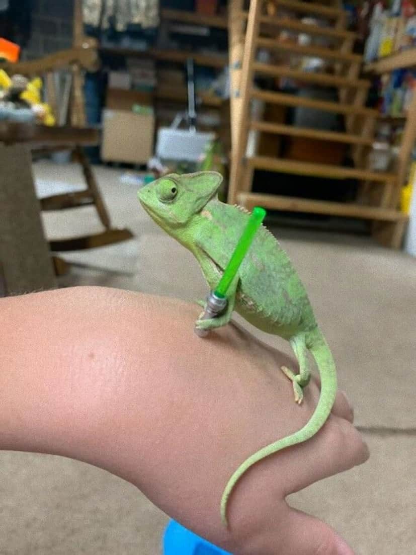 lizard-holding-lego-props-2_e