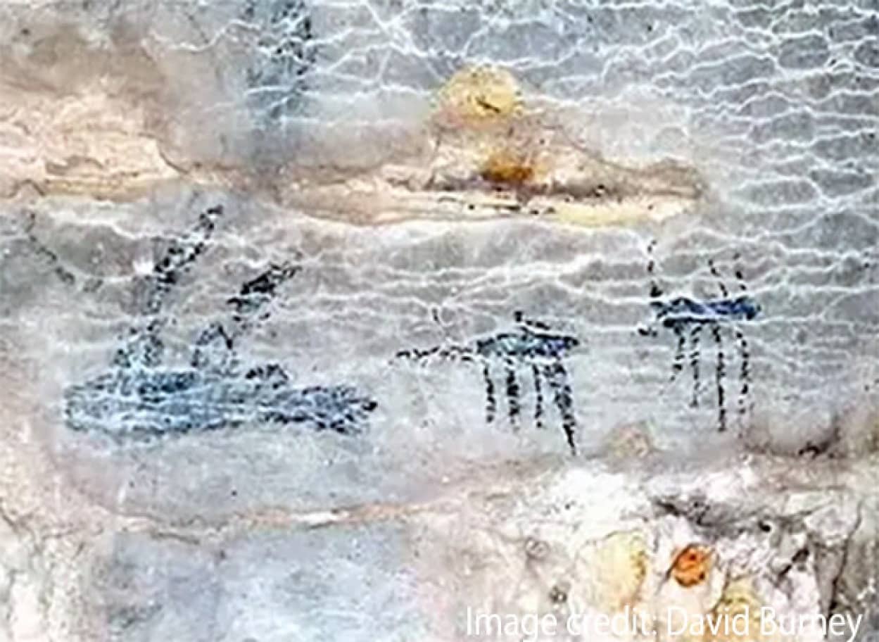 マダガスカルで発見された古代洞窟壁画