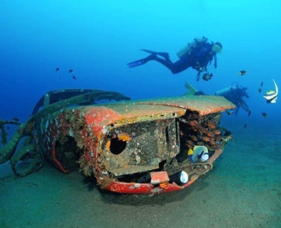 cars_reef_41_e