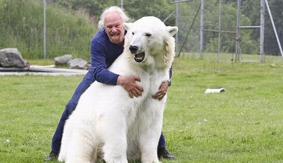 bear_05