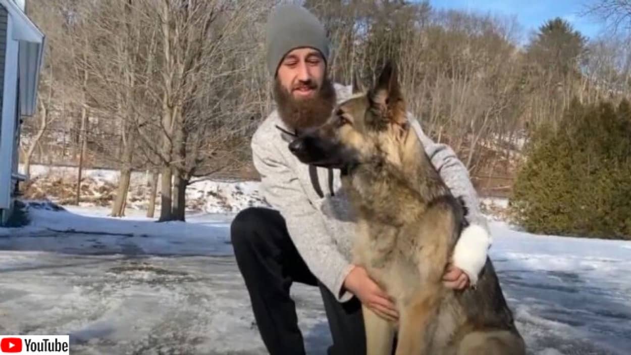 飼い主を救うためパトカーに知らせた犬