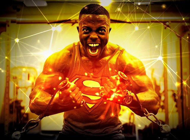 bodybuilder-3263274_640