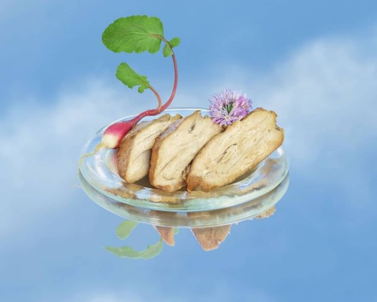 空気から作る人工肉