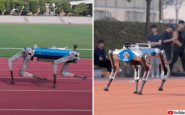 ロボット犬が100m走でギネス記録を更新。19.87秒という史上最速記録
