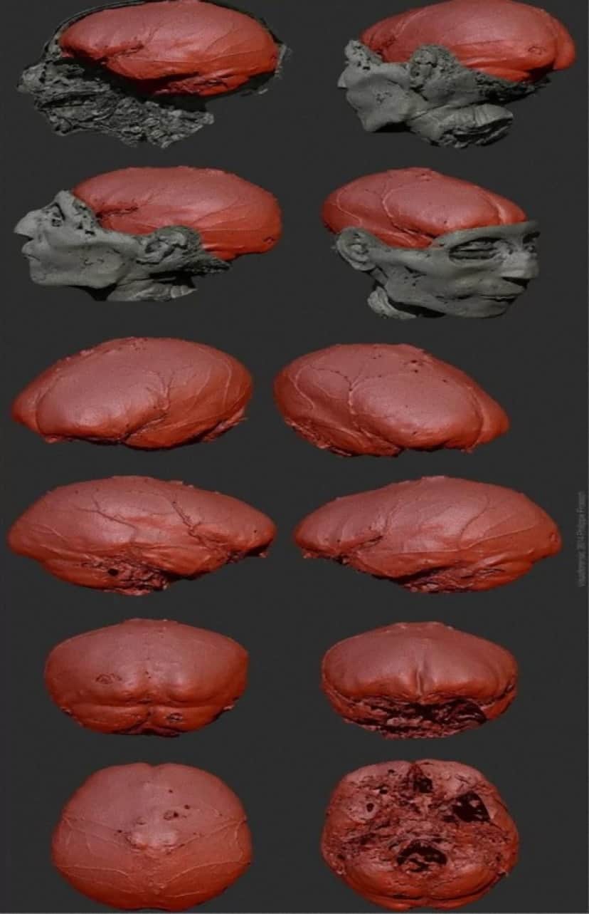 5_e