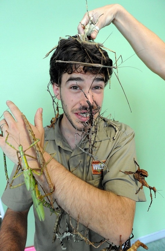 満面の微笑みで体中に巨大ナナフシを這わせる男 彼もまた変な生き物なのかもしれない カラパイア 満面の微笑みで体中に巨大ナナフシを這わせる男 彼もまた変な生き物なのかもしれない カラパイア