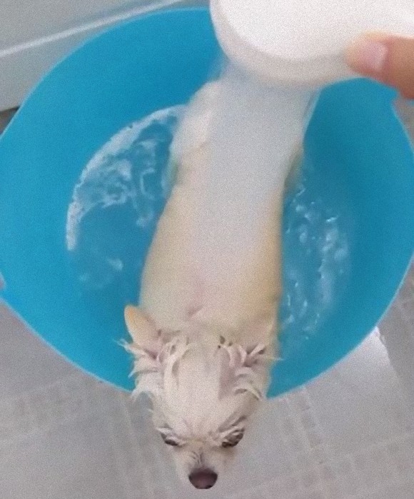 bath5_e