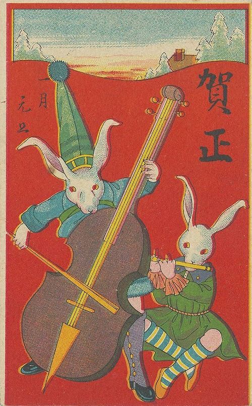 rabbit_5
