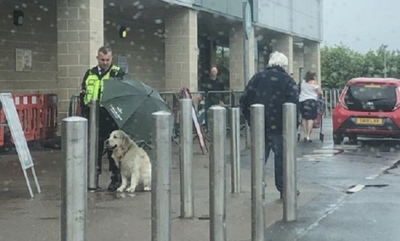 犬が雨に濡れないように