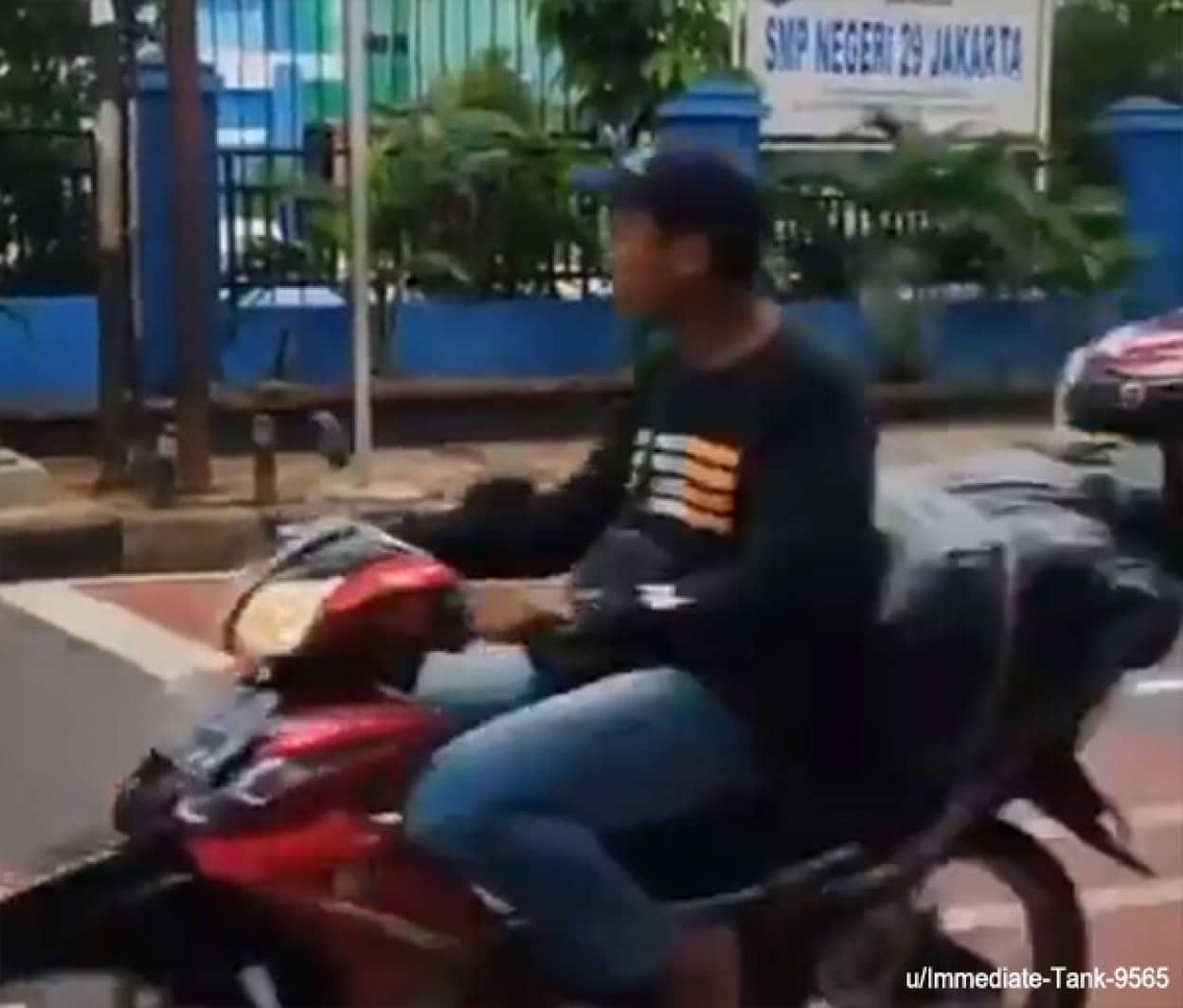 歩行者用信号を全力で無視するインドネシアの車やバイク