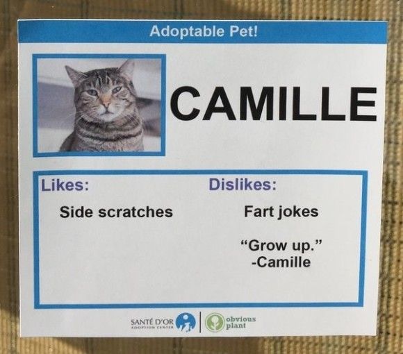 Camille_e