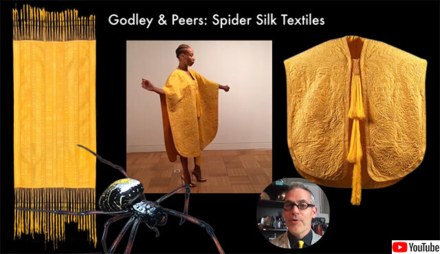 本物の蜘蛛の糸で作ったドレスは実在する。120万匹以上のジョロウグモから採取