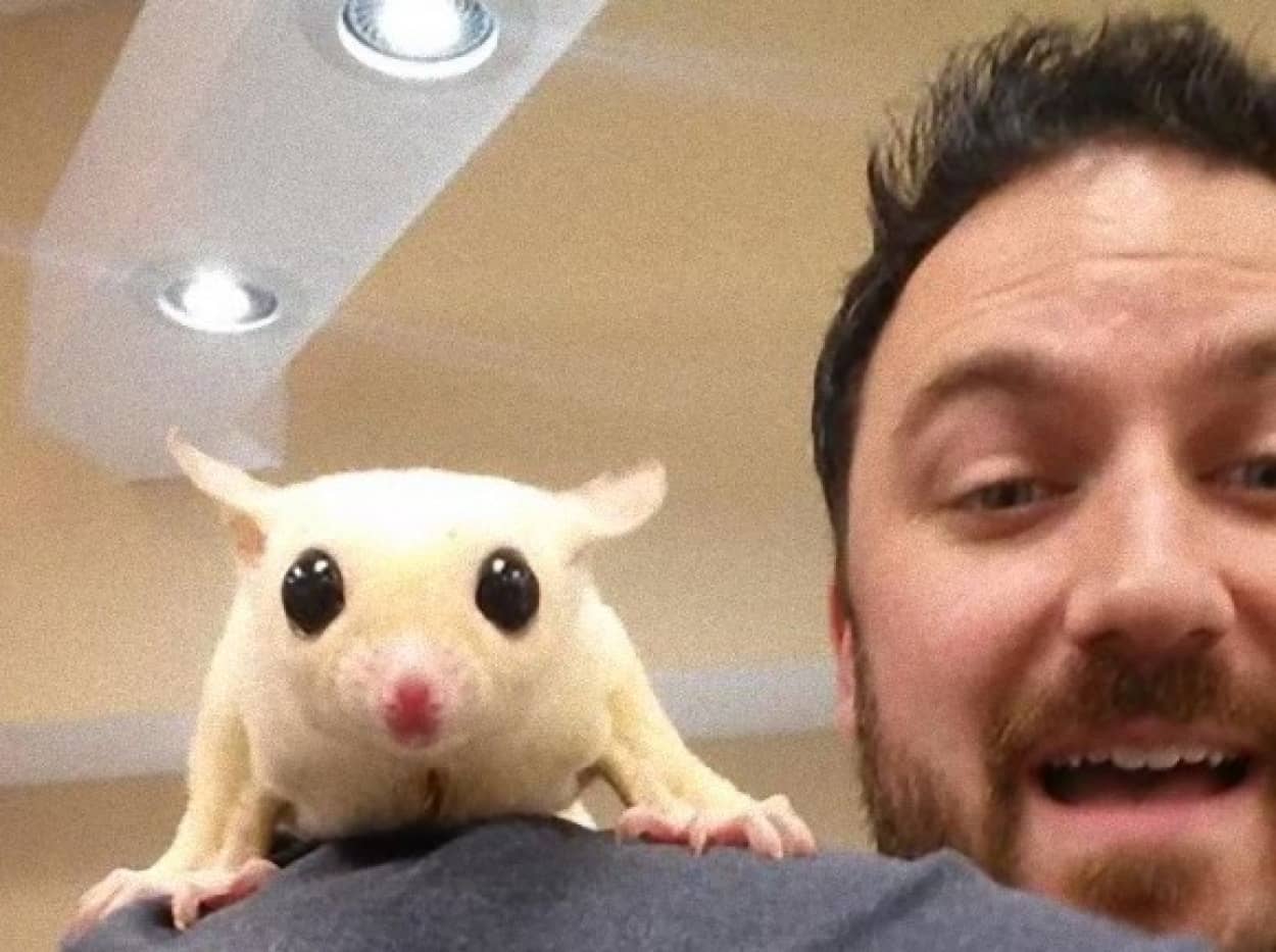 一人よりも二人 二人よりも1人と一匹 自撮りは動物との2ショットに進化した カラパイア 一人よりも二人 二人よりも1人と一匹 自撮りは動物との2ショットに進化した カラパイア