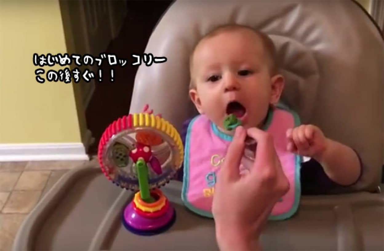 苦悩に満ちた赤子 ブロッコリーをはじめて食べた赤ちゃんの後悔感が半端なかった カラパイア