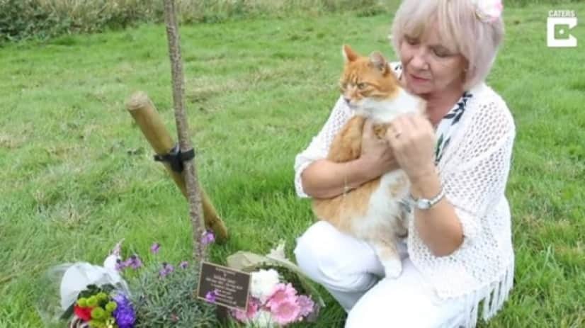 funeral cat6_e