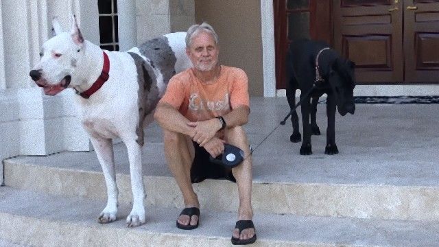 妹を亡くしたグレートデーンのマックスさん宅に新たな仲間がやってきた もうすぐ2歳のグレートデーン エリーさんにクローズアップ カラパイア 妹を亡くしたグレートデーンのマックスさん宅に新たな仲間がやってきた もうすぐ2歳のグレートデーン エリーさんにクローズアップ カラパイア