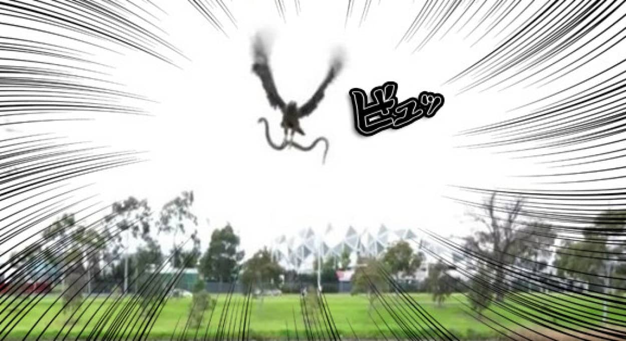 これも焼いてくれや ヒト科のバーベキューに鷹先輩が参戦 ヘビを空中から投げてよこす オーストラリア カラパイア