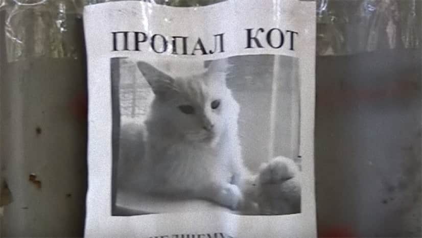1_e