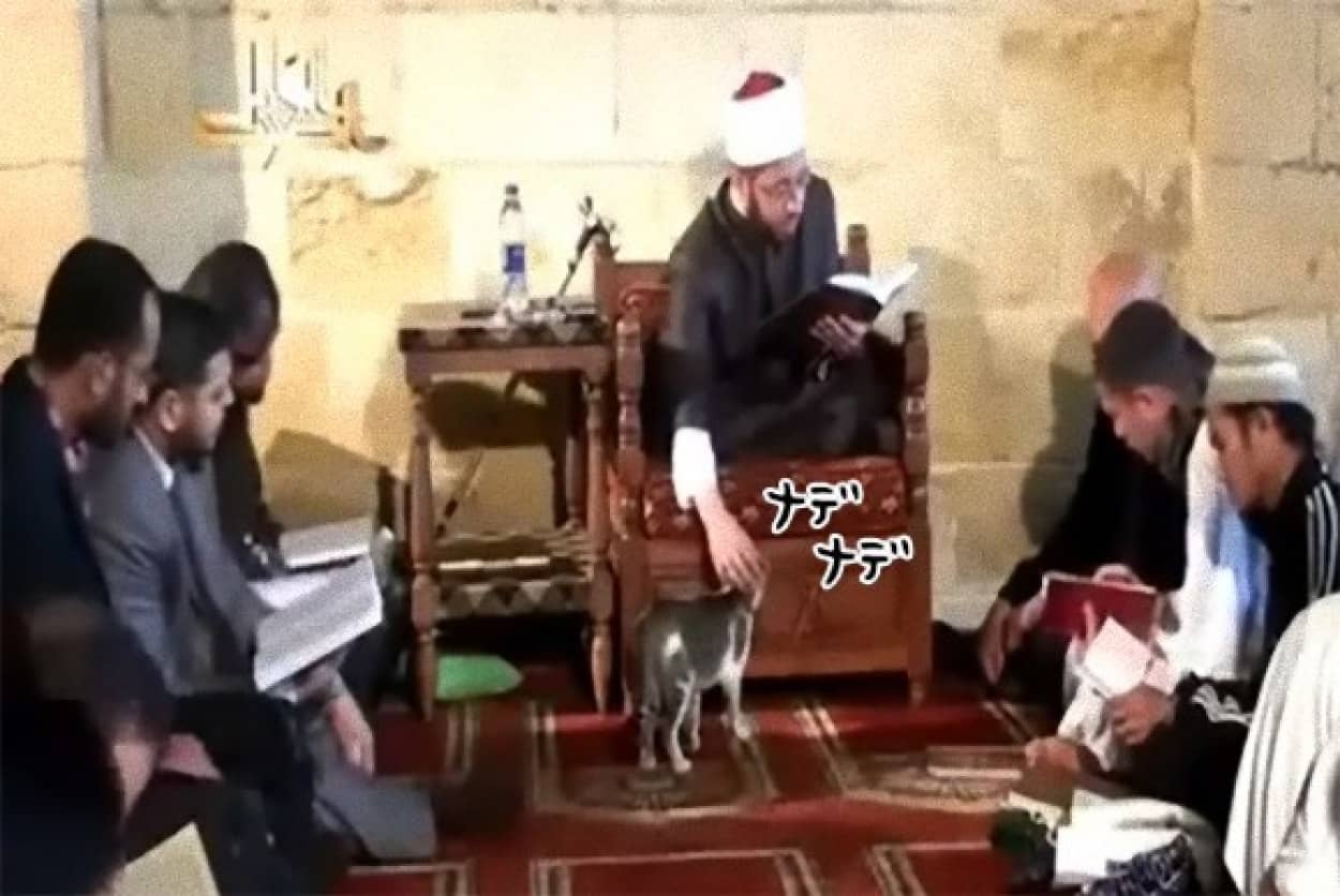 0_e4