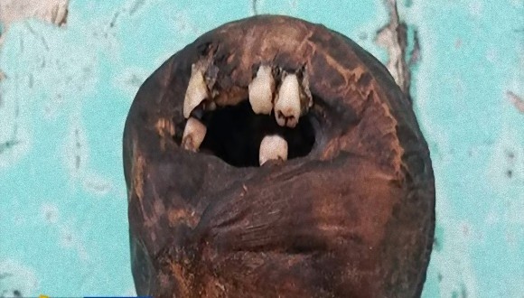ブードゥーの呪いか何かか？本物の人間の歯が埋め込まれた不気味な人形が海岸に打ち上げられる（アメリカ）