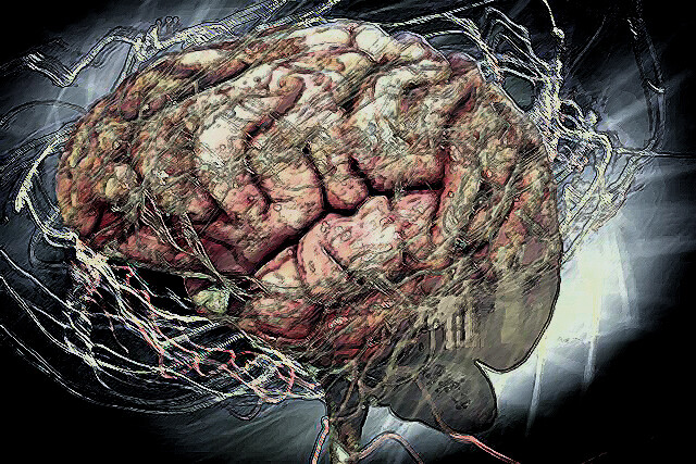 脳を肉体から切り離しても意識は維持するのか？