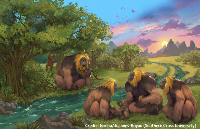 史上最大の霊長類「ギガントピテクス」の絶滅の謎が明らかに
