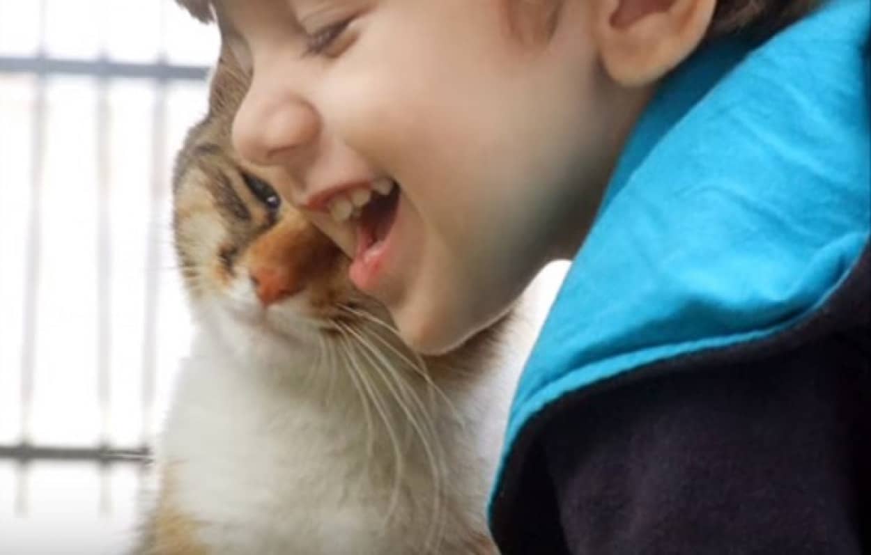 海外の猫村さん 大好きなぼっちゃんにイチャイチャ スリスリ カラパイア