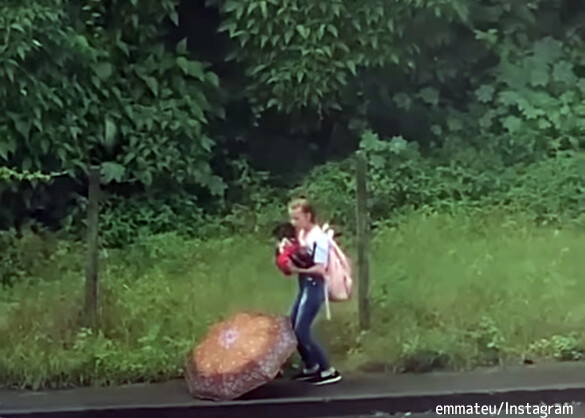 雨でびしょぬれの野良犬を迷うことなく抱きかかえた少女。そして永遠の家族に