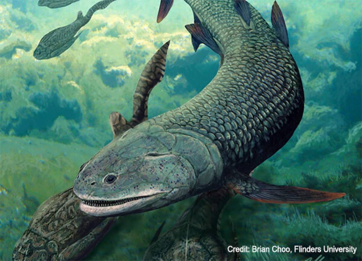 頭のあなで呼吸していた古代魚の化石が発見される
