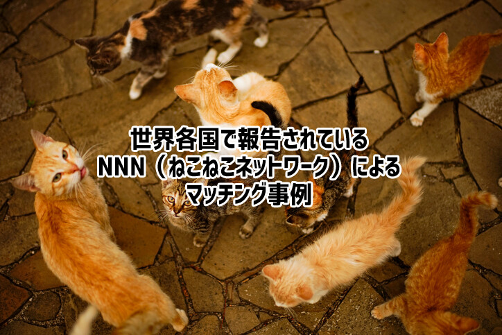 人間が猫を選ぶのではない。猫が飼い主を選んでいるのだ。しているのだ。世界のNNN活動報告事例