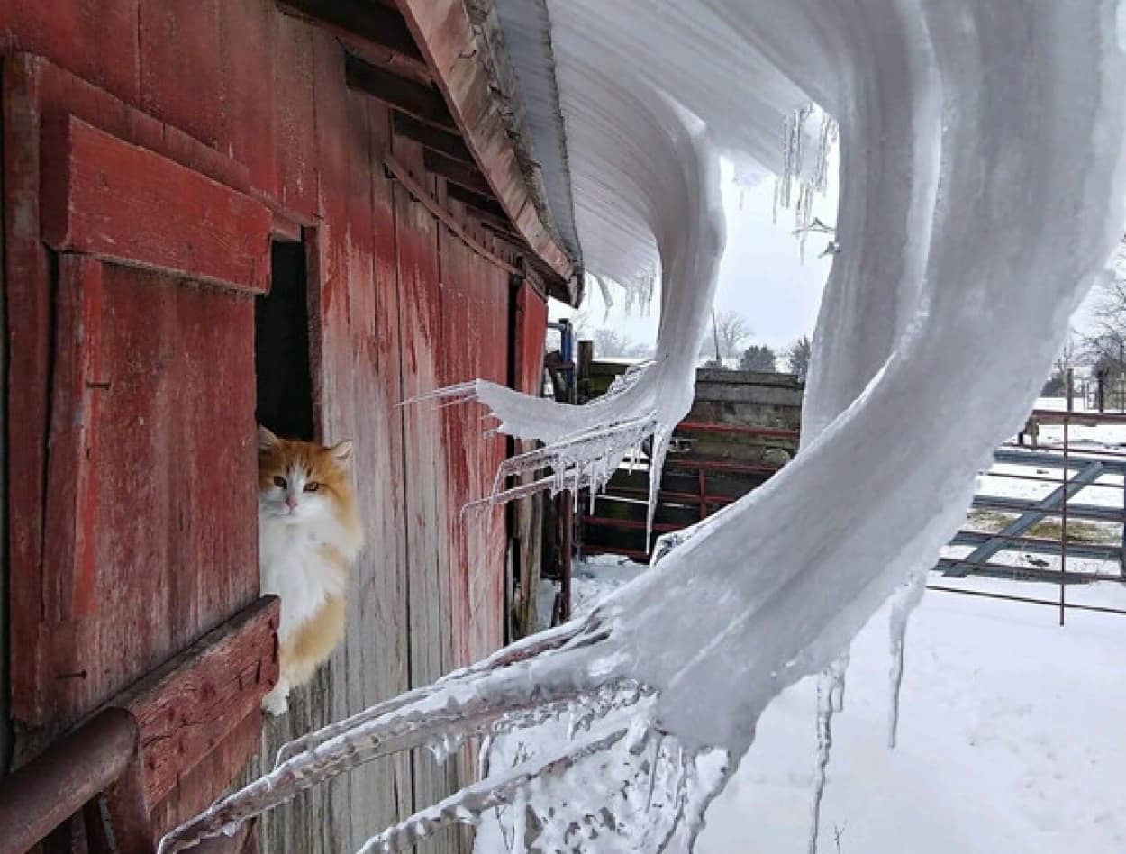 真の寒さを物語る14の写真