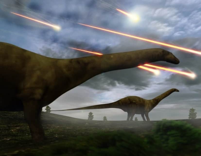 今度こそジュラシックパークの夢が叶う 保存状態の良い1億3000万年前の恐竜の卵が個発見される 中国 カラパイア 今度こそジュラシックパークの夢が叶う 保存状態の良い1億3000万年前の恐竜の卵が個発見される 中国 カラパイア