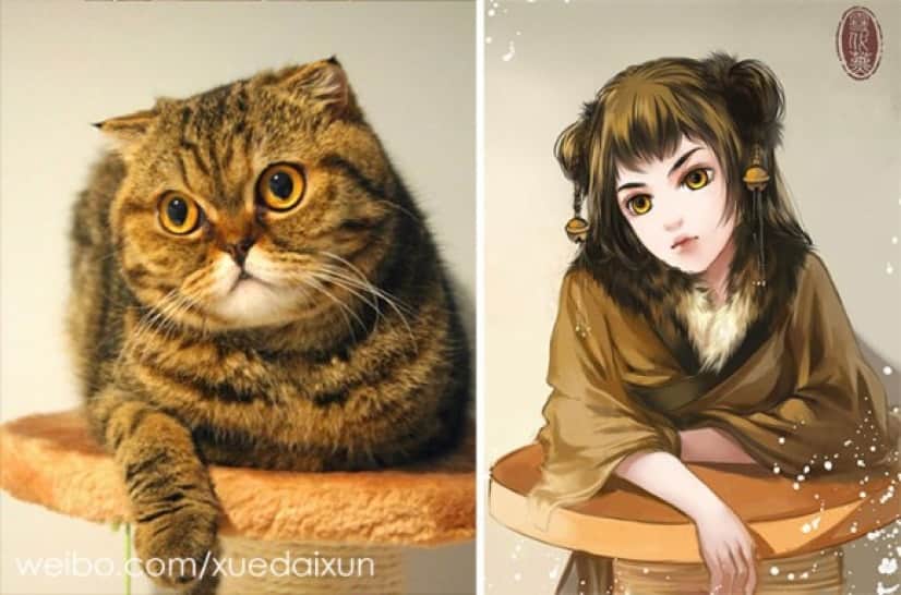 cat-4 (1)