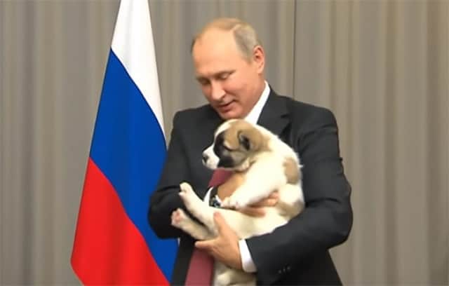 続々と集まる各国の刺客 プーチン大統領にまたしても子犬が贈呈される トルクメニスタン大統領より カラパイア 続々と集まる各国の刺客 プーチン大統領にまたしても子犬が贈呈される トルクメニスタン大統領より カラパイア