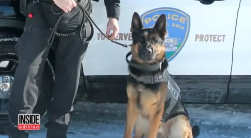 K91_e