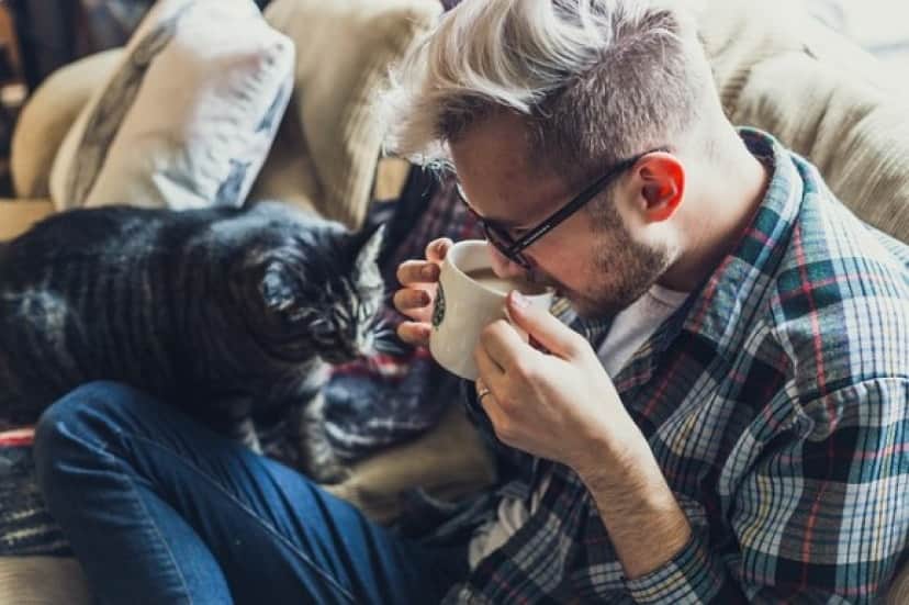 猫は最高の癒し イギリスの独身男性の3分の1が 猫を飼ったことは今までしたことの中で最高のこと と回答 カラパイア 猫は最高の癒し イギリスの独身男性の3分の1が 猫を飼ったことは今までしたことの中で最高のこと と回答 カラパイア