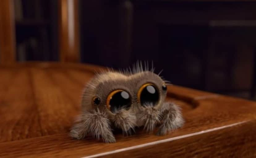 spider4_e