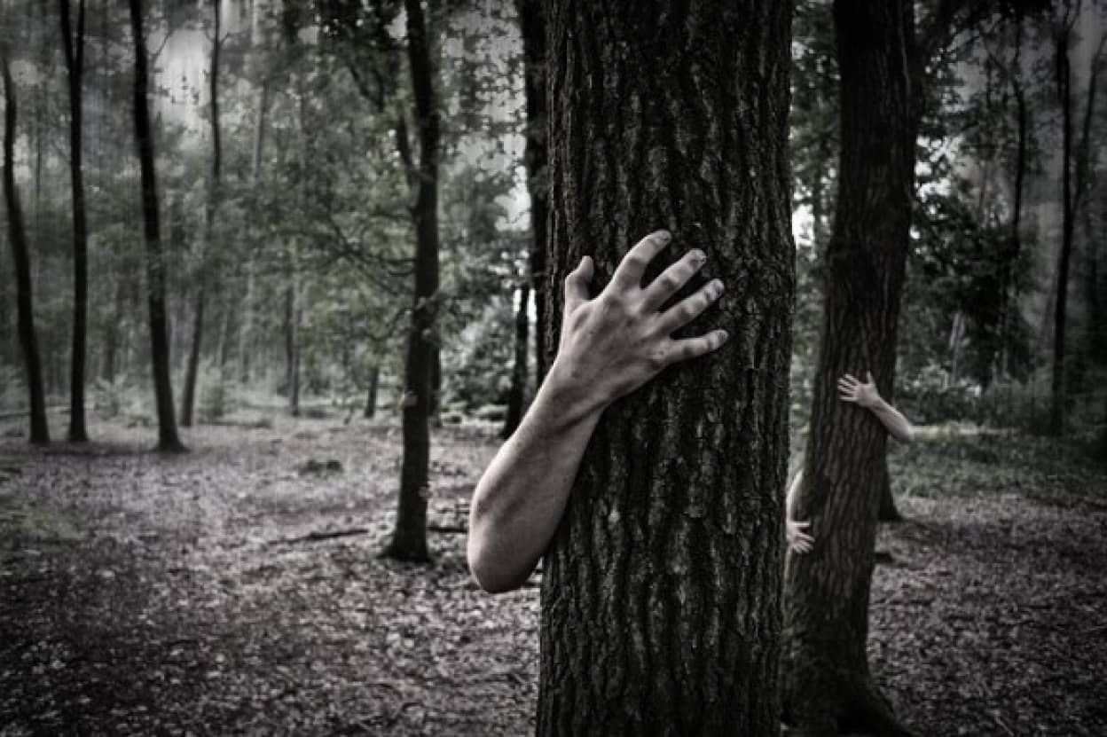 hands-984032_640_e