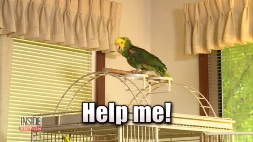 help_me