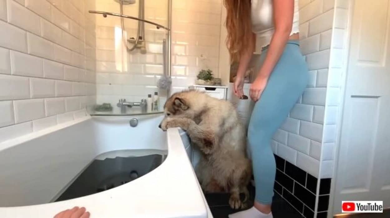 hatebath6_640