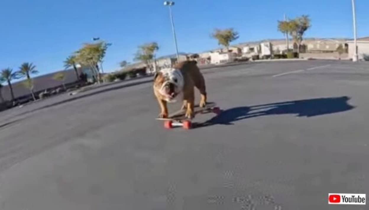 20231222_013843 (2)_batch