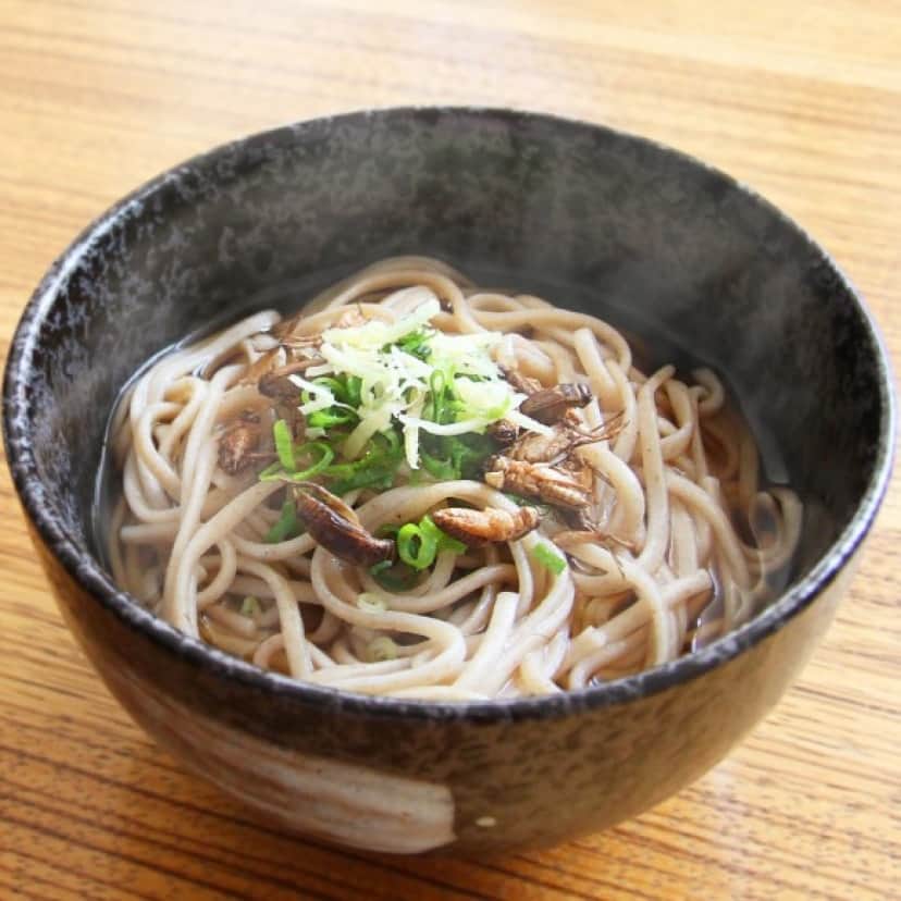 udon4