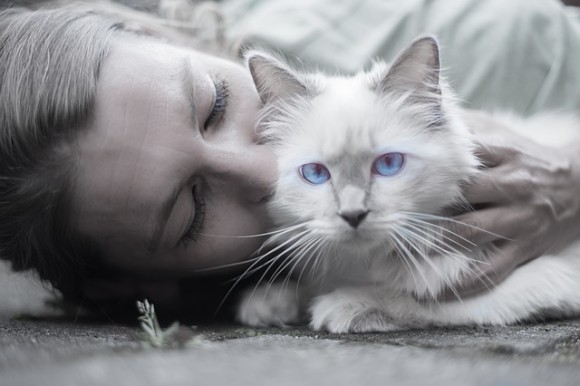 なぜ女性は猫と親密な関係を生みやすいのか 猫に話しかけ気持ちを共有しようとするから ハンガリー研究 カラパイア なぜ女性は猫と親密な関係を生みやすいのか 猫に話しかけ気持ちを共有しようとするから ハンガリー研究 カラパイア