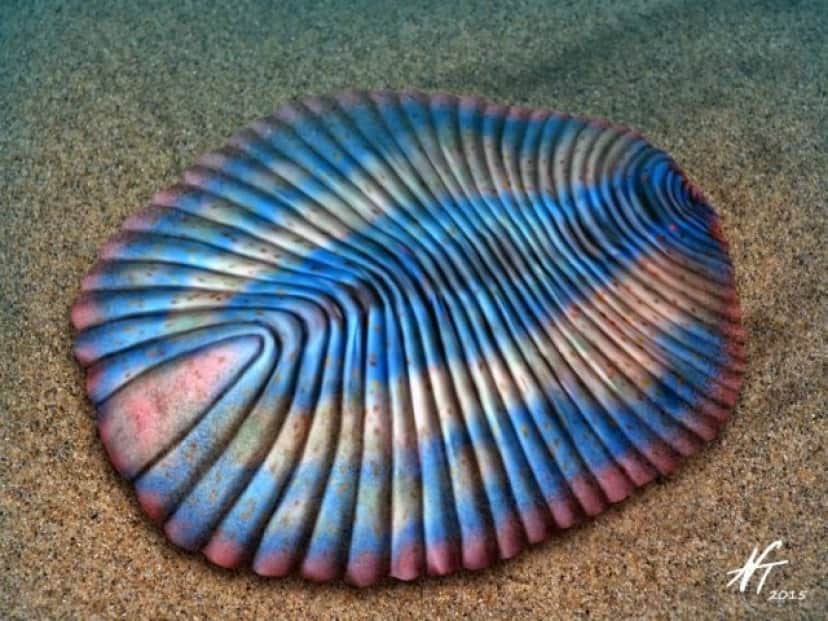 3_e3
